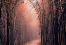 华拉度主场劲战，欲跃升积分榜