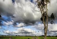 热刺主场大胜，继续稳固前四位置