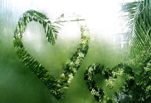 华拉度主场劲战，欲跃升积分榜